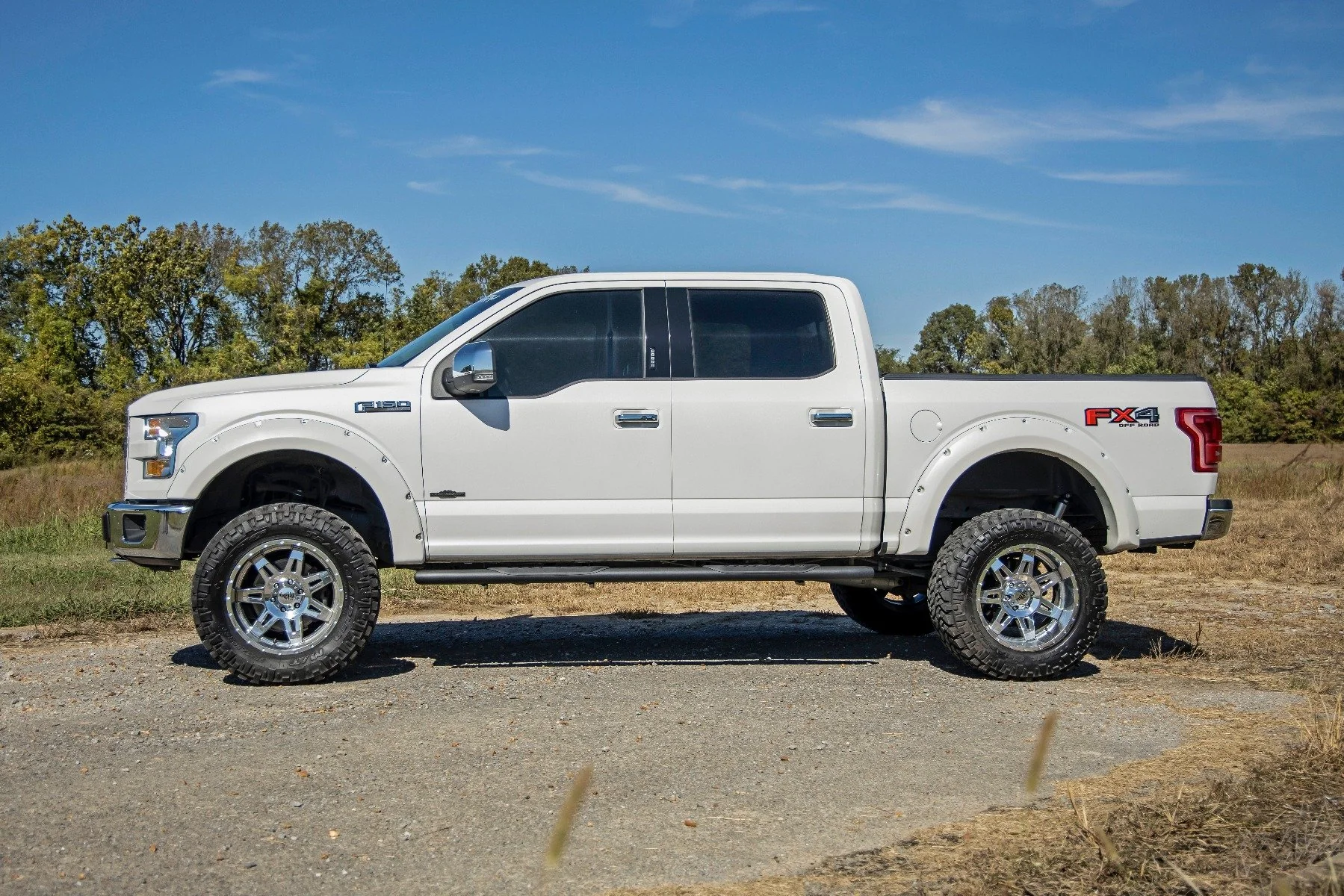Oval Nerf Step | Crew Cab | Black | Ford F-150 2WD/4WD | 2015-2021 | Rough Country | 21005 - Image 3