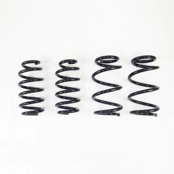 RSR Ti2000 Down 2019+ TESLA  Model 3 AWD lowering springs